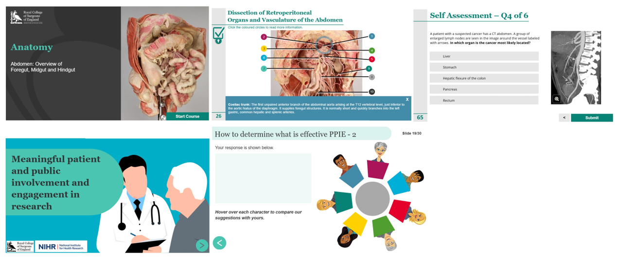 Royal College of Surgeons project image